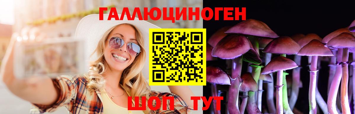 Псилоцибиновые грибы Cubensis Учалы