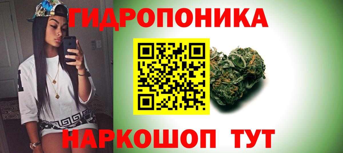 Марихуана планчик  Конопля семена  Учалы  Марихуана White Widow  Вход с VPN 